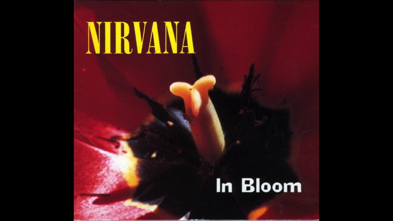 Escucha y descarga In Bloom de Nirvana